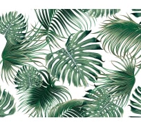 Бумажные бесшовные фотообои Verol Тропические листья 70-БФО_04786