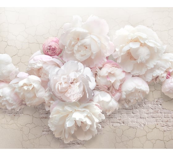 Фотообои PRIMAVERA Пионы 3D PV-1083-P3