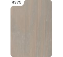 Гибридное масло для дерева RENNER цвет: R375, 5 кг 5-375