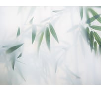 Бумажные бесшовные фотообои Verol Тропики (3,1 кв.м; ширина 200 см; высота 155 см; плотность 115 г/м) 48-БФО_04685