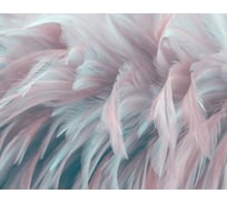 Бумажные бесшовные фотообои Verol Перья 16-БФО_04202