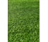 Искусственная трава Prettie grass BH-20 1,5x20 BH-201520 1