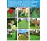 Искусcтвенная трава Prettie grass BH-30 1,5x4 BH-301504 9
