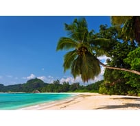 Обои Антимаркер Milan Солнечный берег 400x270 см M 484