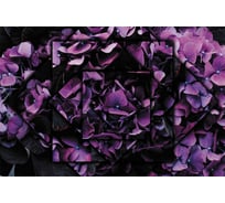 Обои Антимаркер Milan Фиалковая геометрия 300x200 см M 716