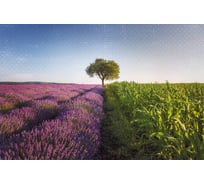 Обои Антимаркер Milan Контрастный Прованс 300x200 см M 733