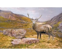 Обои Антимаркер Milan Горный олень 300x200 см M 702