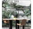 Флизелиновые фотообои Verol Пальмы встык 15-ФФО_04925 2