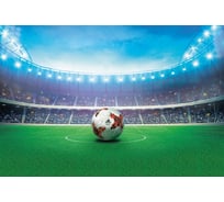 Обои Антимаркер Milan В ожидании чемпионата 300x200 см M 787