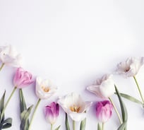 Обои Антимаркер Milan Нежные тюльпаны, 300x270 см M 3109