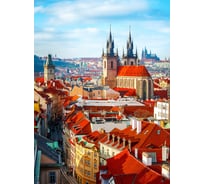 Обои Антимаркер Milan Прага, 200x270 см M 258