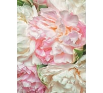 Обои Антимаркер Milan Пионы, 200x270 см M 206