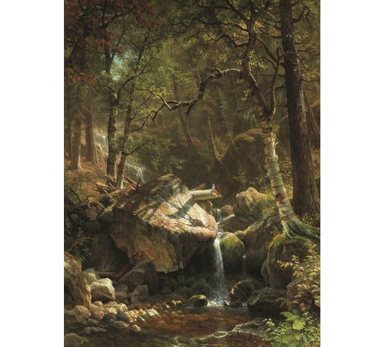 Обои Антимаркер Milan Лесной ручей, 200x270 см M 289