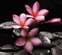 Обои Антимаркер Milan SPA Магнолия, 300x270 см M 304