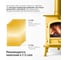 Эмаль термостойкая KUDO PROFF, золотая, до 700С, 0,8 кг KUB-5007-08 8