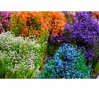 Обои Антимаркер Milan Буйство красок 400x270 см М4007