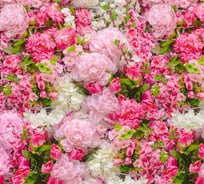 Обои Антимаркер Milan Пионы 300x270 см М3012