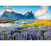 Обои Антимаркер Milan Цветущие предгорья 400x270 см М4036