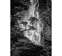 Обои Антимаркер Milan Изящество отваги 200x270 см М2021