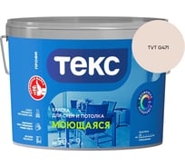 Краска для стен и потолка Текс моющаяся/профи A 9л 700000439_TVT G471