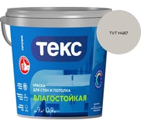 Краска для стен и потолка Текс влагостойкая/профи A 0,9л 700000407_TVT H487