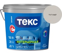 Краска для стен и потолка Текс интерьерная/профи A 4,5л 700000426_TVT H487