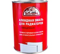 Эмаль алкидная для радиаторов ЭКСПЕРТ белая 0,9 кг 25080