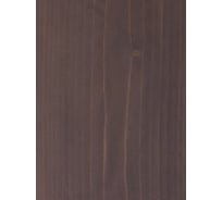 Пропитка для дерева Pollux FB Water 100 Палм Айлендс (цвет орех; объем 5 л) 4687202235520