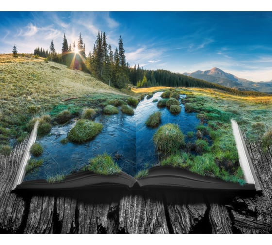 Фотообои флизелиновые PRIMAVERA Книга природы PV-1174-P4