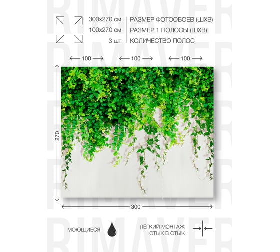 Фотообои флизелиновые PRIMAVERA Лианы PV-1165-P3