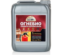 Огнеобиозащита ЭКСПЕРТ 1 группа 5 л 28684