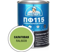 Эмаль ЭКСПЕРТ ПФ-115 глянцевая салатовая RAL 6039 0,8 кг 34101