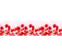 Кухонный фартук Декор Трейдинг Маки (3000x600x1.5 мм; глянец) Маки3м