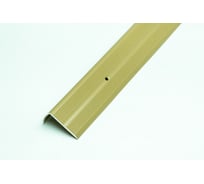 Угол РУССКИЙ ПРОФИЛЬ 40x22 мм, 0.9 м, золото, 10 шт. 4607130272008