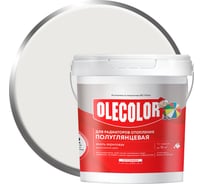 Акриловая эмаль для радиаторов отопления OLECOLOR полуглянцевая, 0.5 кг 4300007666