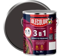Грунт-эмаль по ржавчине OLECOLOR черный, 4 кг 4300005953