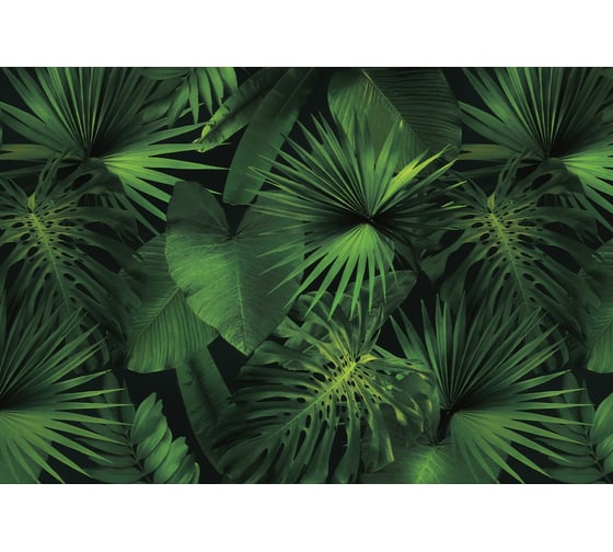 Фотообои ООО Ортограф Jungle green 3.93x2.7 м OF_34477