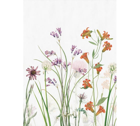Фреска ООО Ортограф Wildflowers 2x2.7 м FX_34079
