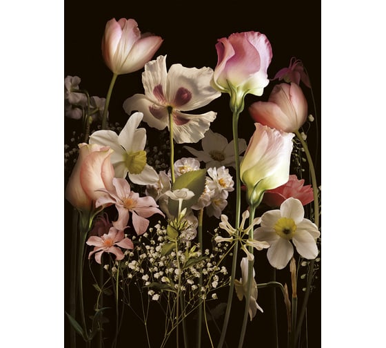 Фреска ООО Ортограф Night bouquet sepia 2x2.7 м FX_31633