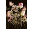 Фреска ООО Ортограф Night bouquet sepia 2x2.7 м FX_31633 2