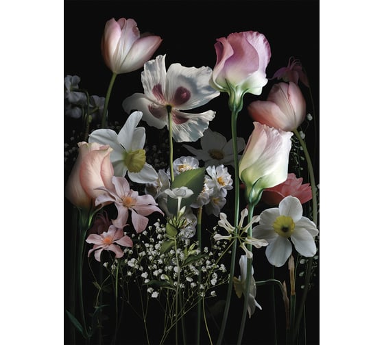 Фреска ООО Ортограф Night bouquet 2x2.7 м FX_31632