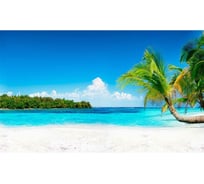 Кухонный фартук Декор Трейдинг Баунти 1000х600 мм Баунти35181000*600мм