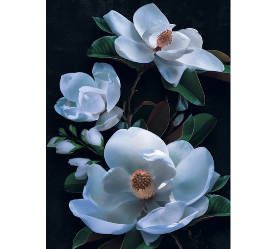 Фреска ООО Ортограф Magnolia macro blue 2x2.7 м FX_31654
