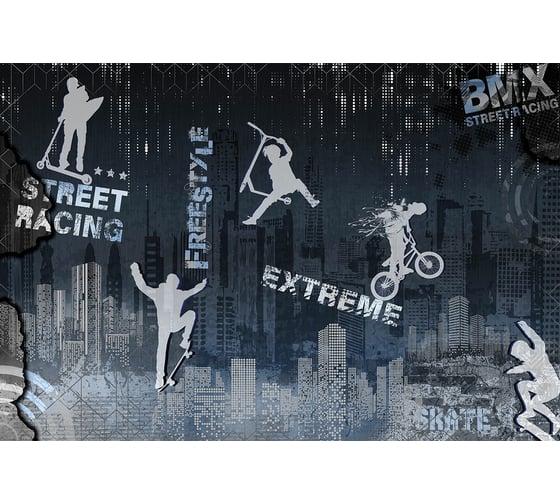 Фреска ООО Ортограф Street racing 4x2.7 м FX_34650