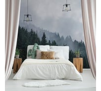 Фреска ООО Ортограф Foggy forest 4x2.7 м FX_34589