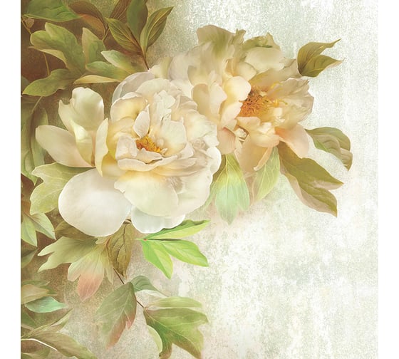 Фотообои ООО Ортограф Wild rose sepia 2.99x3 м OF_31645
