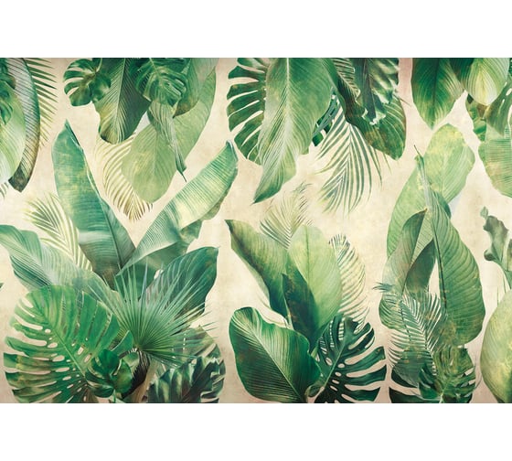 Фреска ООО Ортограф Palm leaves 4x2.7 м FX_34204