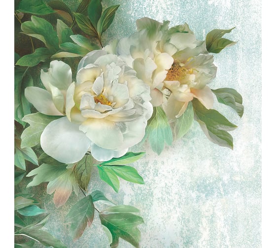 Фотообои ООО Ортограф Wild rose 2.99x3 м OF_31644