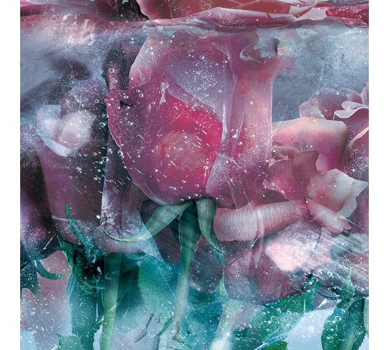 Фотообои ООО Ортограф Ice roses blue 2.99x3 м OF_31663