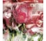 Фотообои ООО Ортограф Ice roses 2.99x3 м OF_31664 2